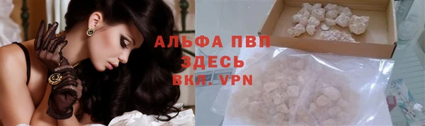 прущие крисы Новозыбков