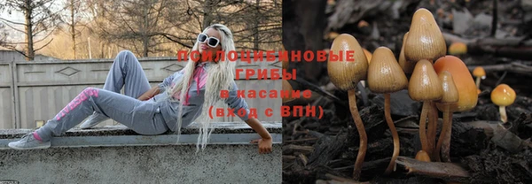 героин Болотное