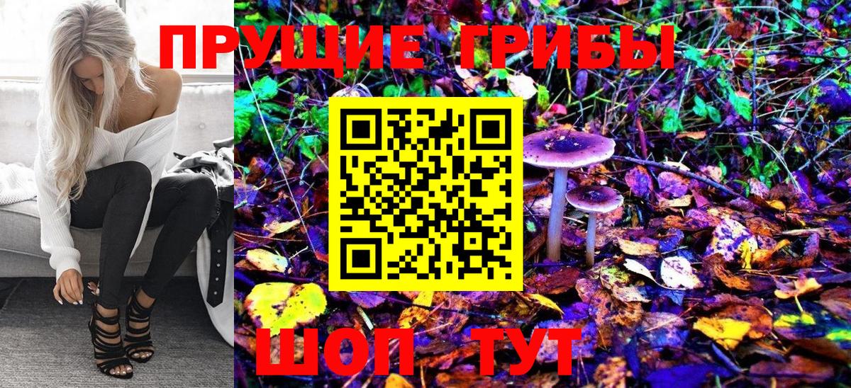 Галлюциногенные грибы Magic Shrooms  хочу   Владикавказ 