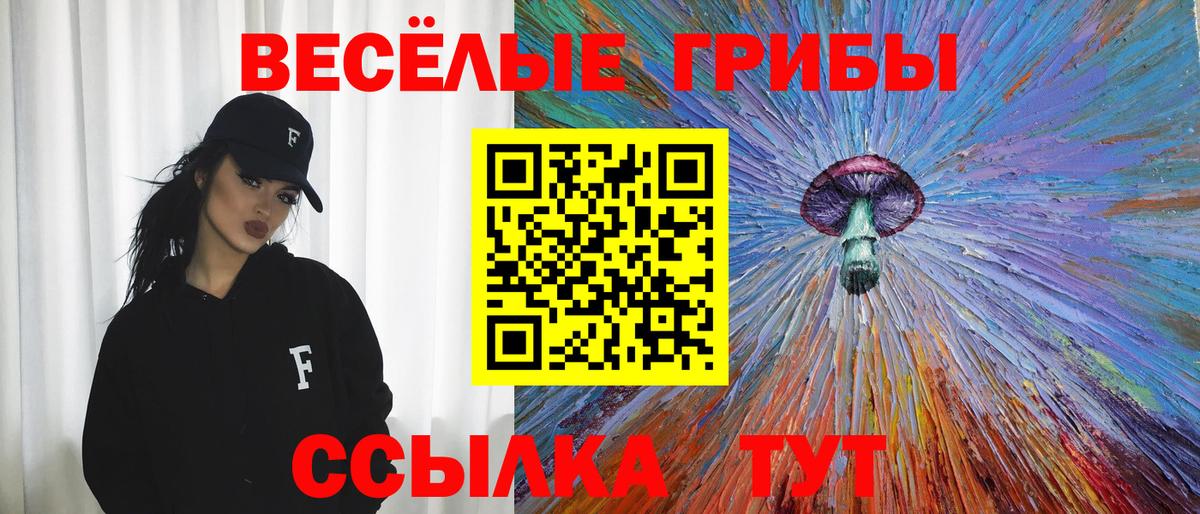 Псилоцибиновые грибы Cubensis Владикавказ