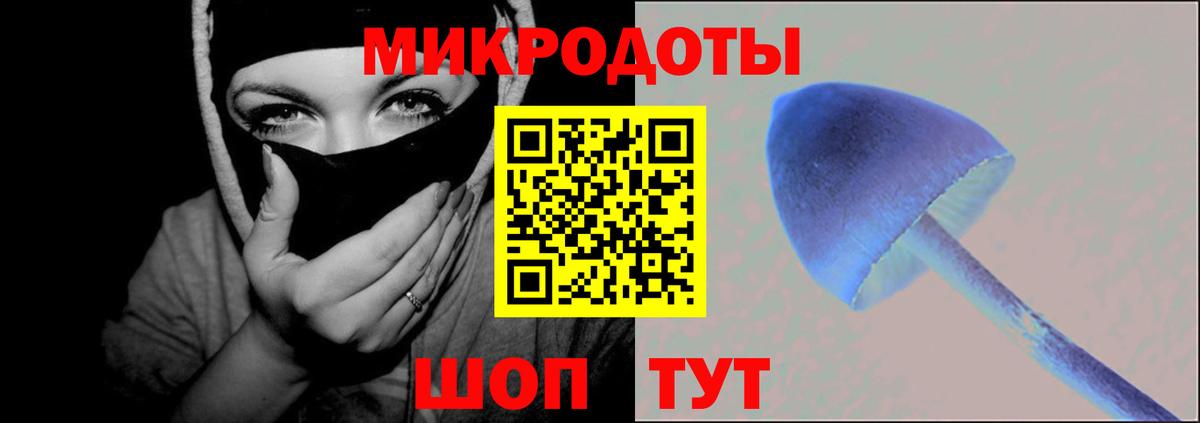 Владикавказ  Галлюциногенные грибы прущие грибы  Галлюциногенные грибы мицелий  купить закладку  Вход с VPN 