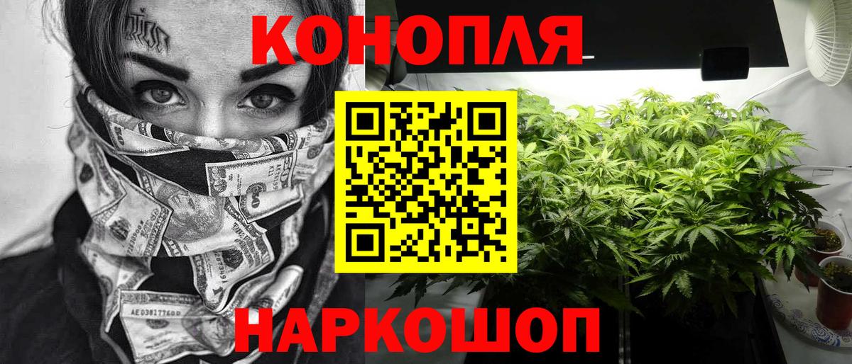 Каннабис семена Владикавказ